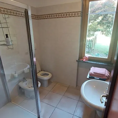 Magnolia * Vercurago