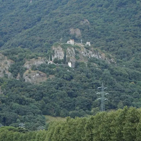 Magnolia * Vercurago