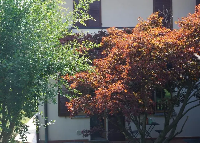 Апартаменты Magnolia *